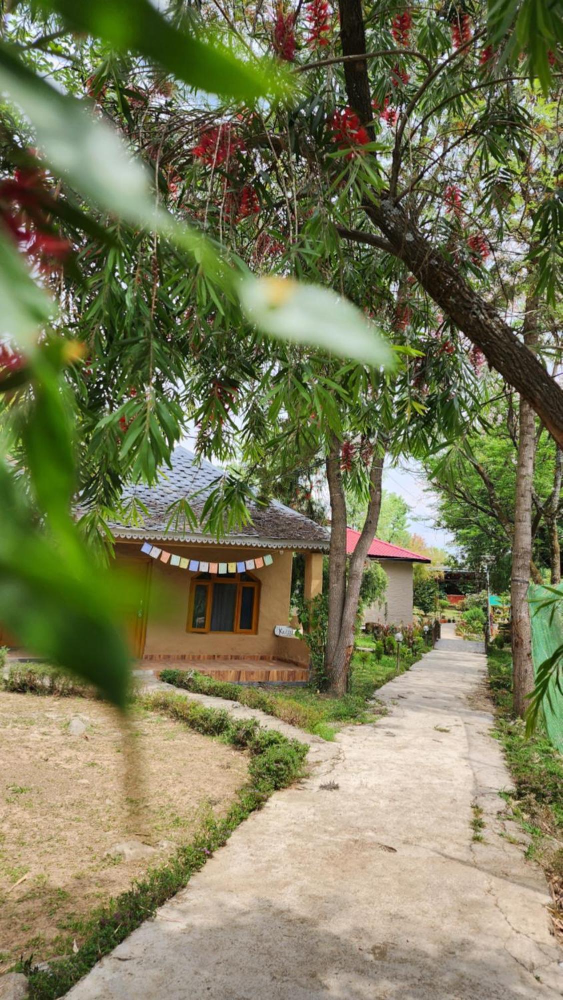 Namlang Resort บีร์ ภายนอก รูปภาพ