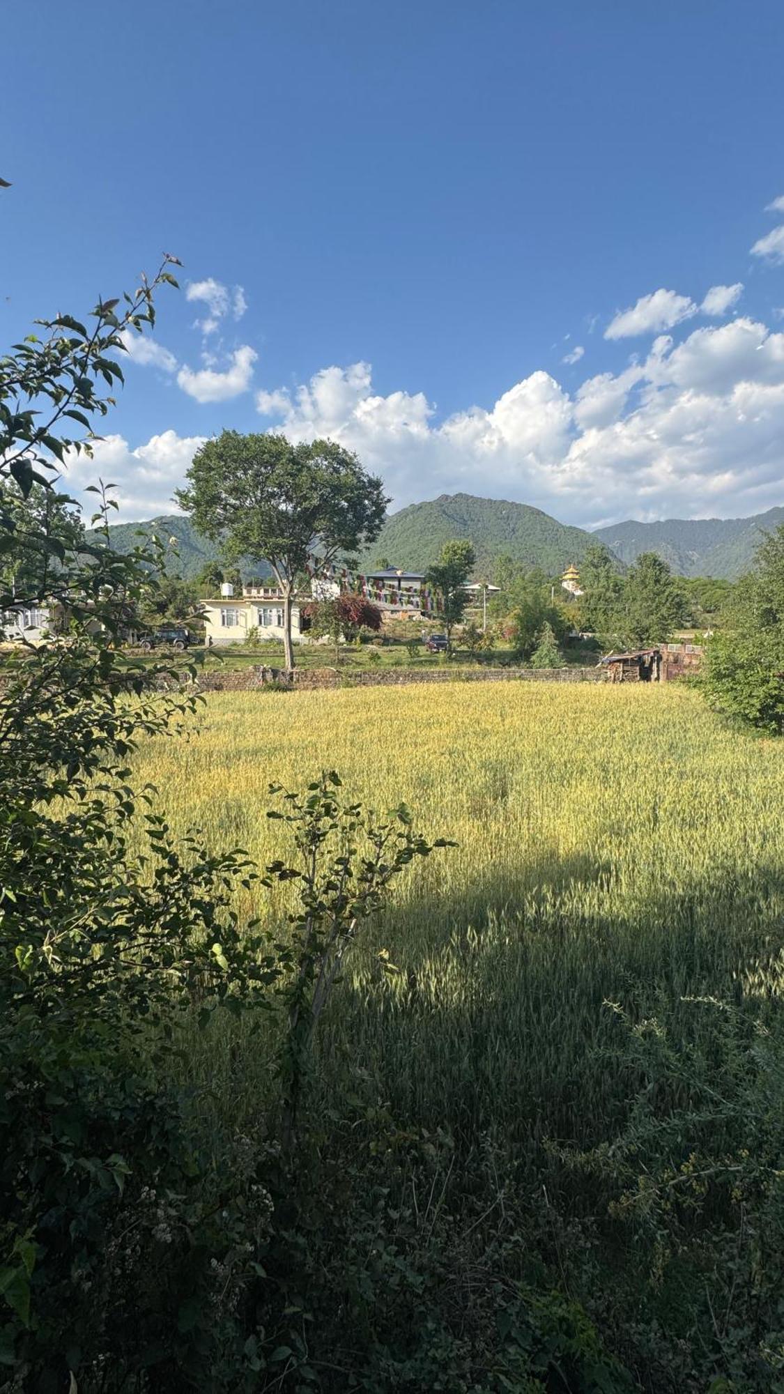Namlang Resort บีร์ ภายนอก รูปภาพ